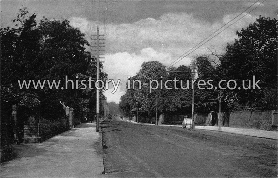 Lexen Road, Colchester. Essex. c.1906